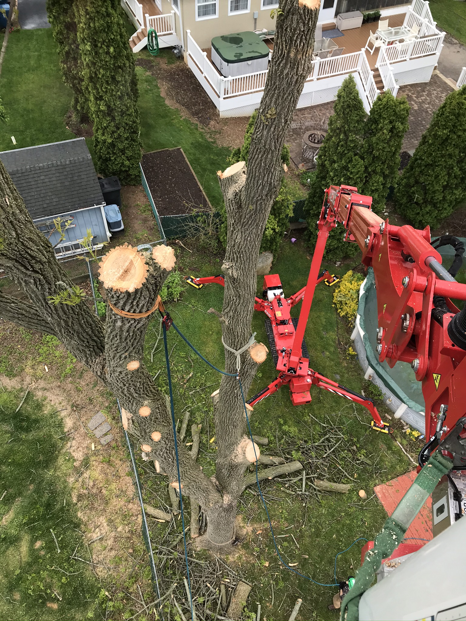 True Guardian Tree Services Stump Removal