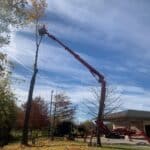 Bucket truck extended to trim tree