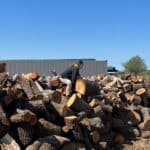 A pile of uncut wood we'll use for fire wood