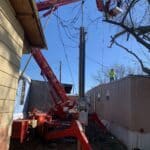 Tree fell on house and being removed