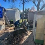 Some workers managing a stump for removal
