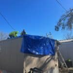 Damage to mobile home after tree fell on it