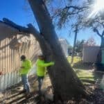 Some men working on a tree that fell on a house