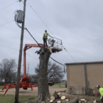 Man standing in a lift removing a tree